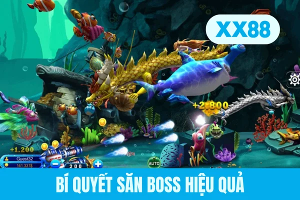 Bí quyết săn boss hiệu quả Bí quyết săn boss hiệu quả